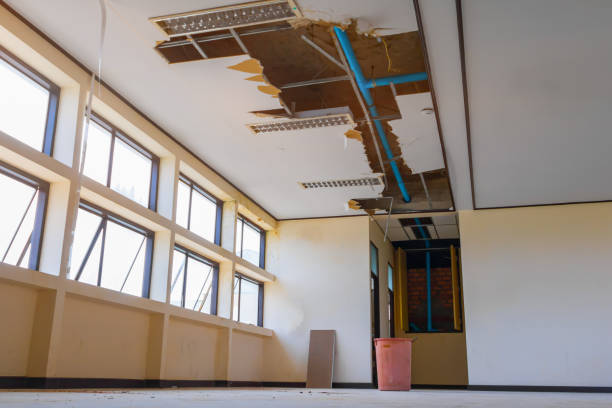 Best 24/7 water damage repair  in Sandia Knolls, NM