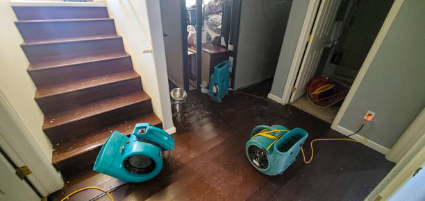 Best Water damage contractors near me  in Sandia Knolls, NM