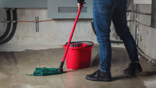 Best Water damage restoration near me  in Sandia Knolls, NM