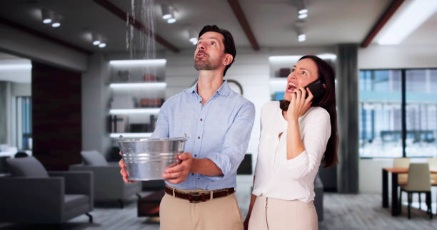 Trusted NM Water damage restoration Experts