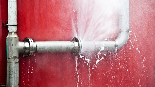 Best Carpet water damage restoration  in Sandia Knolls, NM